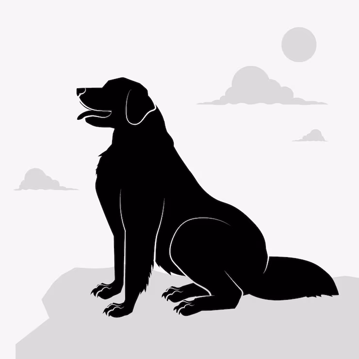 Mapets